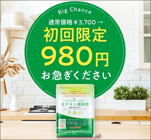 カテキン減脂粒 販売店