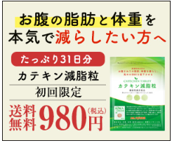 カテキン減脂粒 販売店